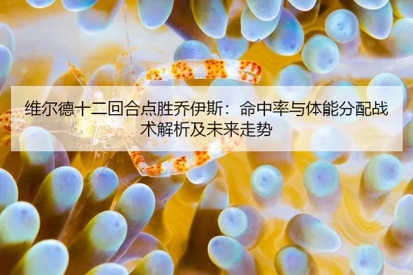 wei-er-de-shi-er-hui-he-dian-sheng-qiao-yi-si-ming-zhong-lv-yu-ti-neng-fen-pei-zhan-shu-jie-xi-ji-wei-lai-zou-shi-2-558.jpg
