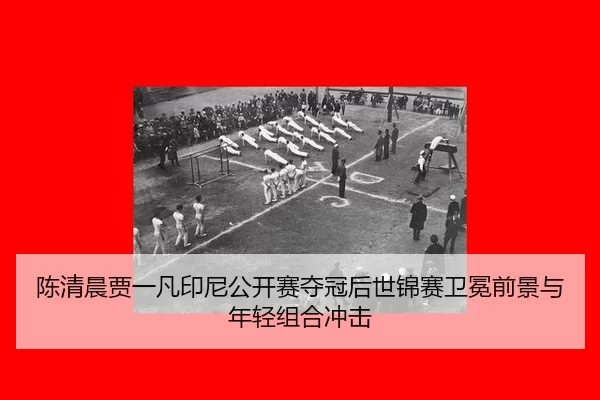 chen-qing-chen-jia-yi-fan-yin-ni-gong-kai-sai-duo-guan-hou-shi-jin-sai-wei-mian-qian-jing-yu-nian-qing-zu-he-chong-ji-2-171.jpg